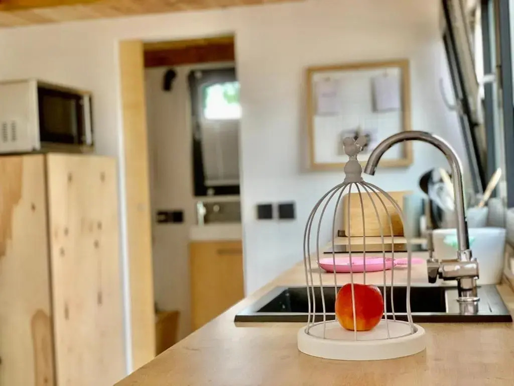 Tiny House Geierlay