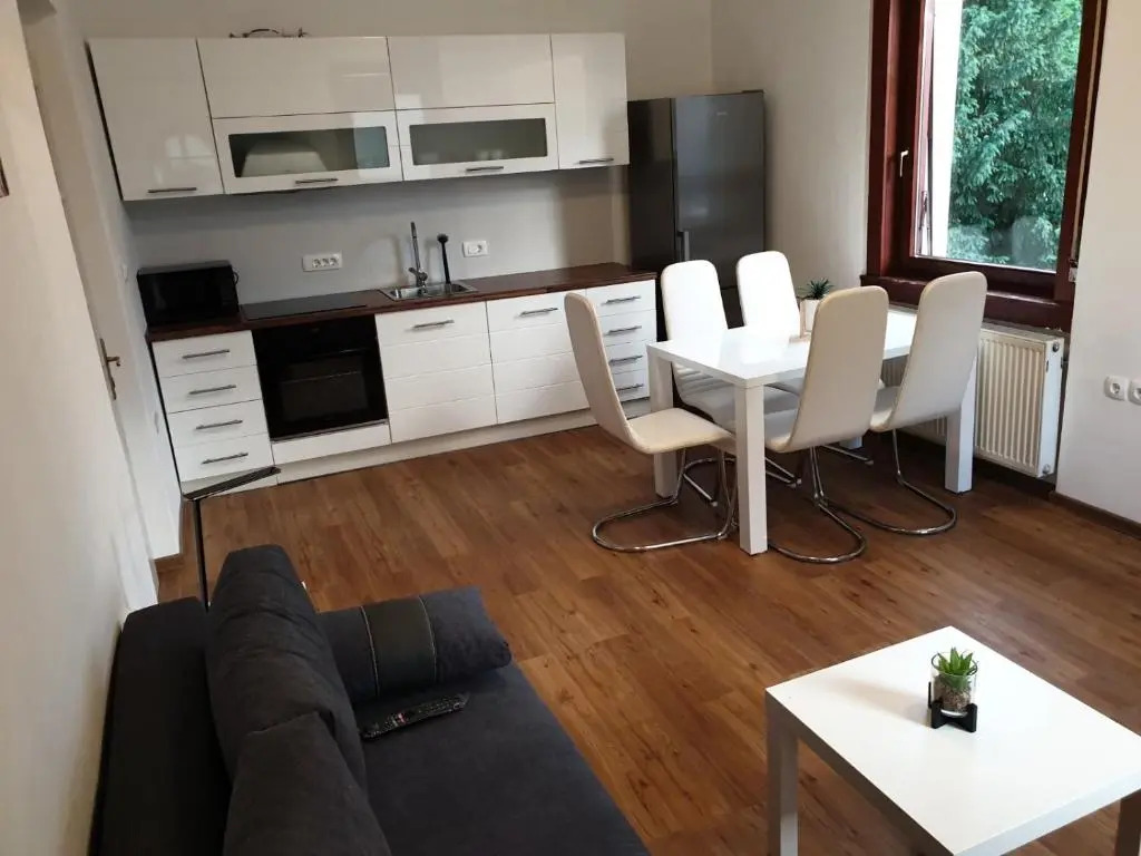 Huge BBQ Garden, Spacious Flat, AC, Free Parking 2
