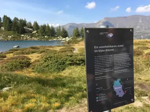 Hüsmatta