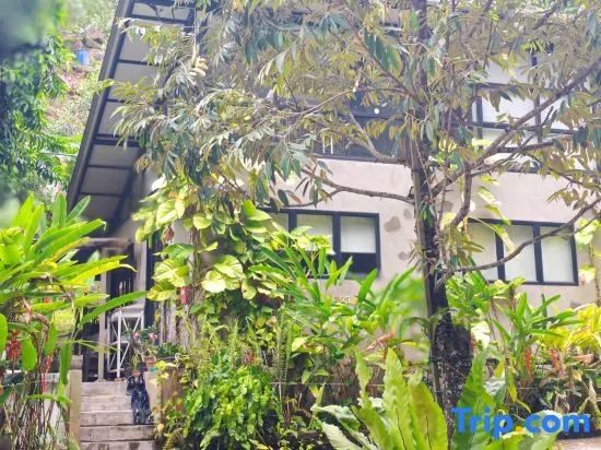 Penang Balik Pulau Daze in Nature Guest House 123