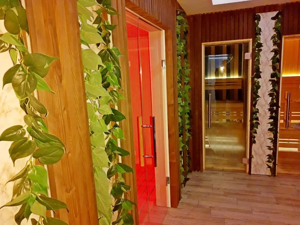 Kopaonik Milmari Spa and Wellness Wooden Horn S21