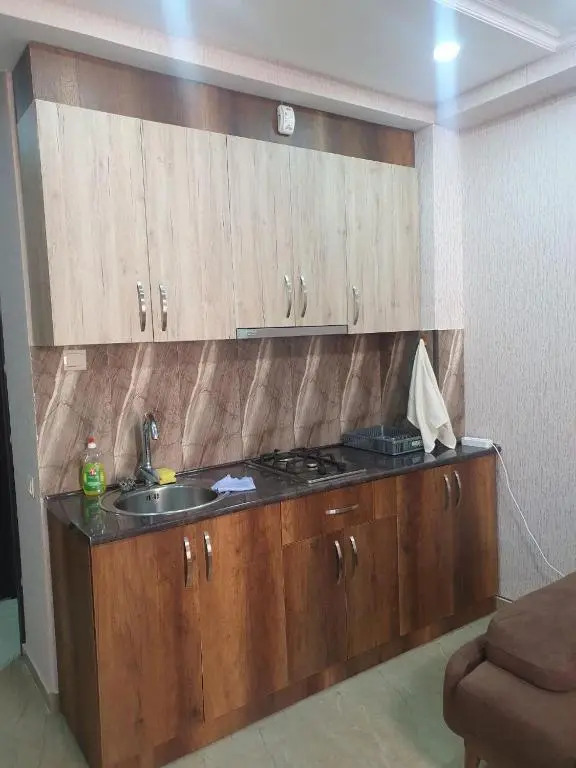 Hotel Horizont Apartments Bakuriani 35m2