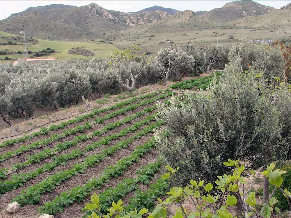 Hospederia Rural Los Palmitos