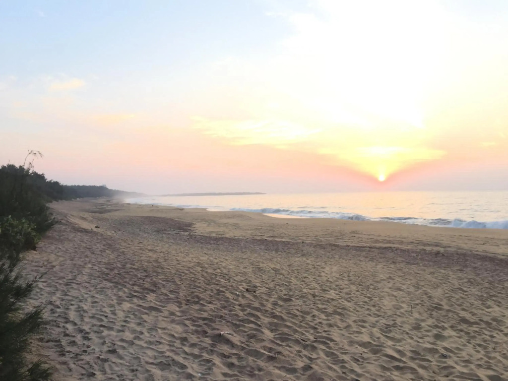 The Oasis Ayurveda Beach Resort