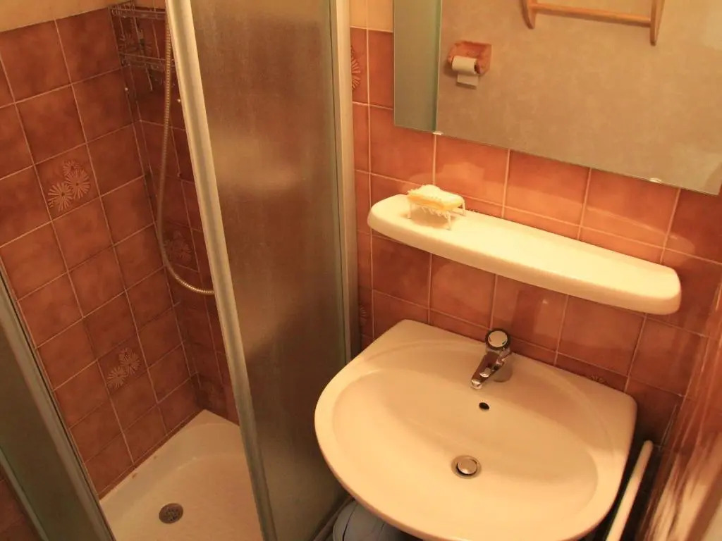 Appartement La Clusaz, 1 pièce, 4 personnes - FR-1-459-101