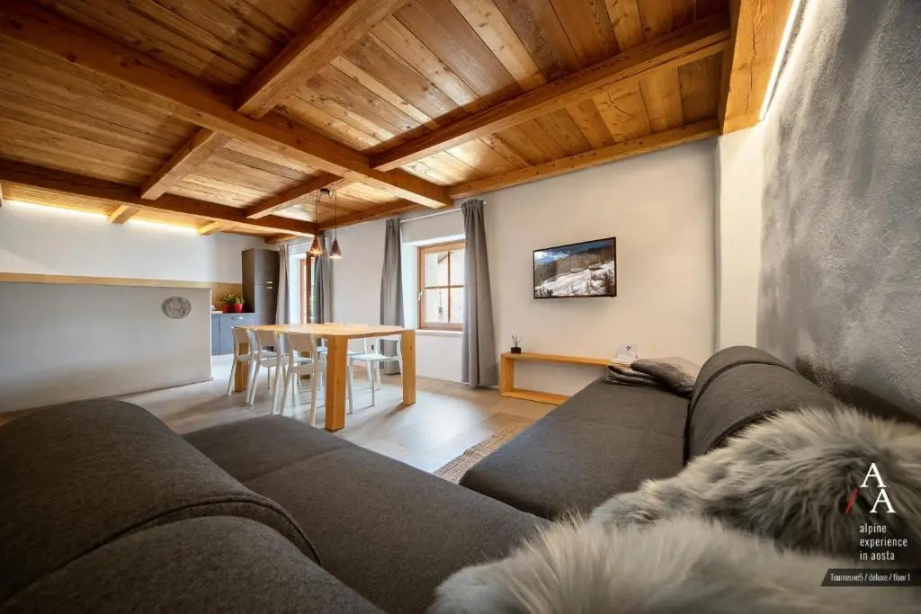 Alp Apartments - Tourneuve5