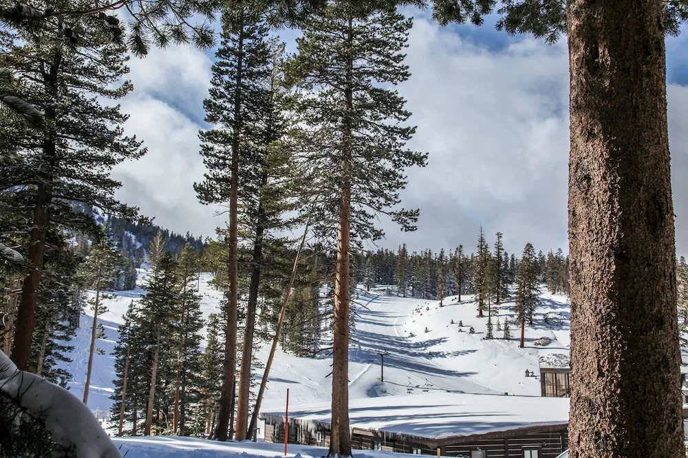 Sierra Megeve 8 Cozy Yet Spacious Condo, Just A Short Walk To Canyon Lodge by RedAwning