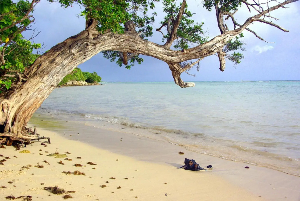 Anais location 971 Guadeloupe