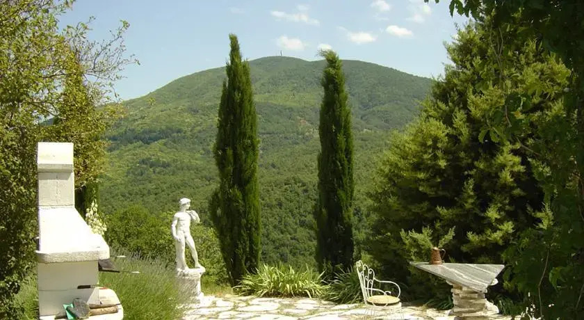 Sallicione