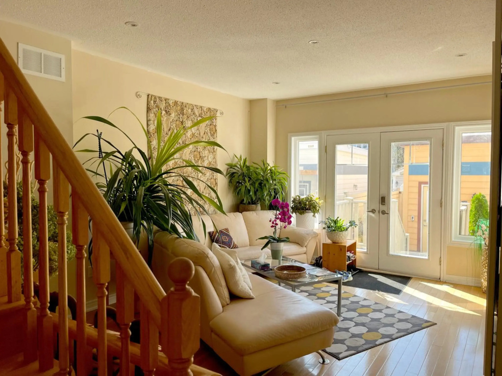 Stunning Studio in the Beaches