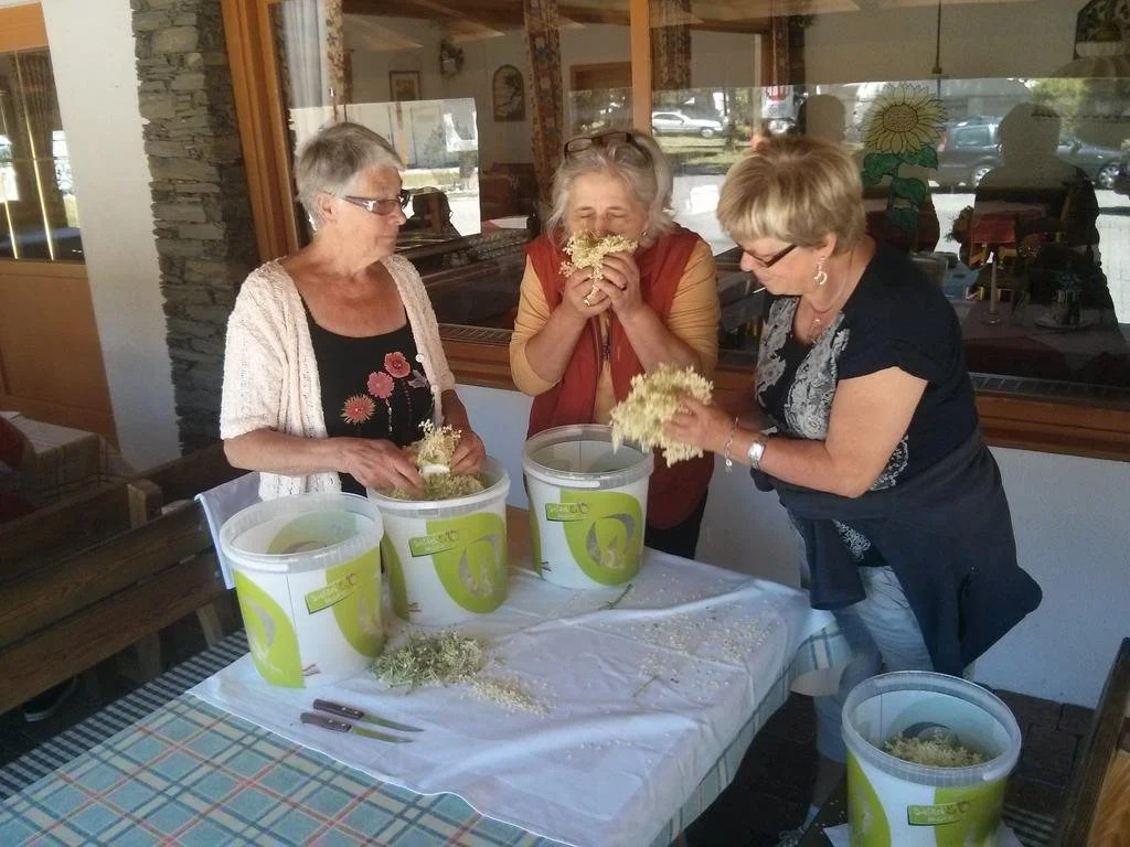 Schwimmbad Camping Mössler