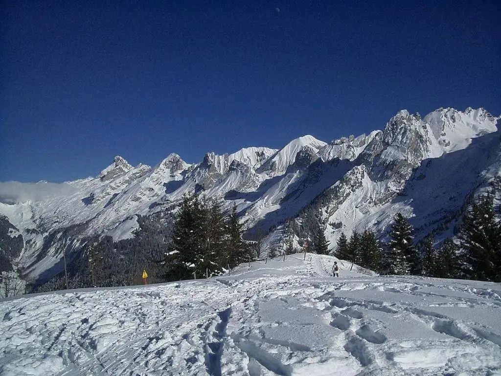 Studio La Clusaz, 1 pièce, 4 personnes - FR-1-459-85