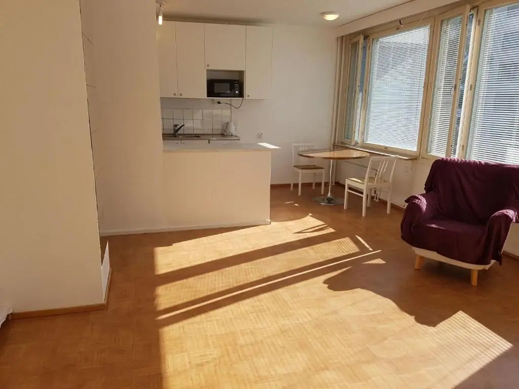 Home In Finland 2 (芬兰的家2)