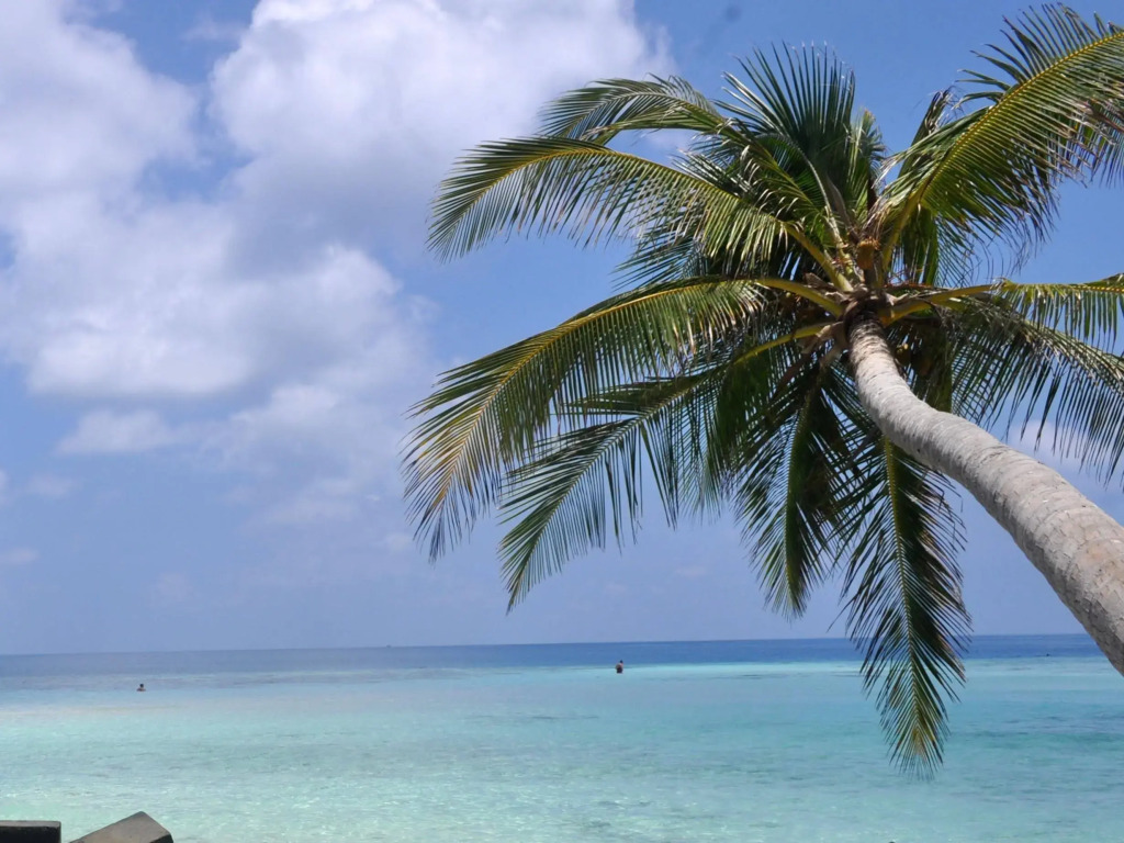 Water Breeze