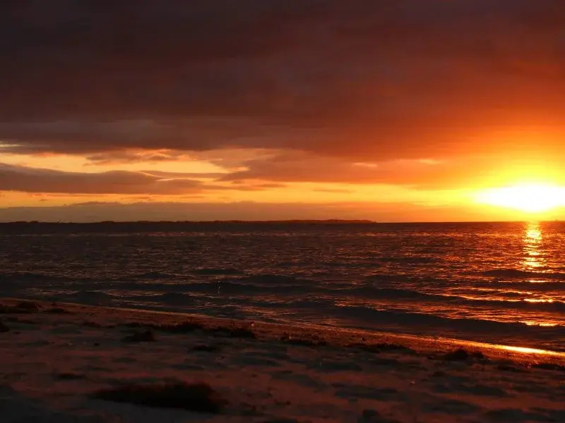 Capel Sound Escapes
