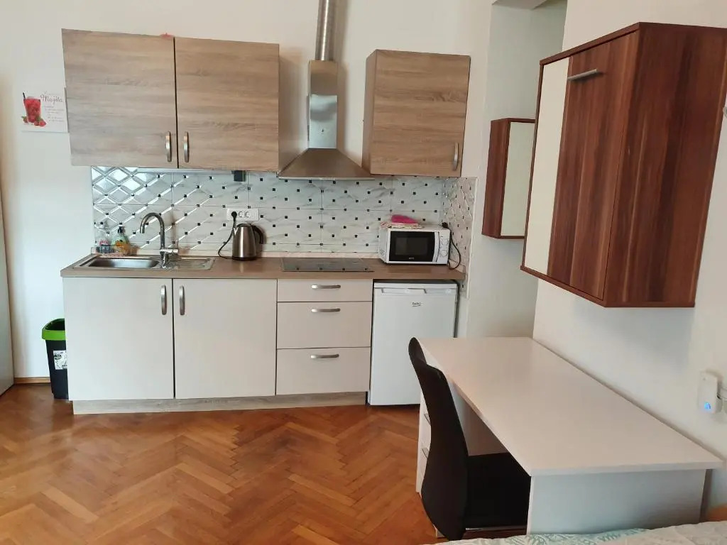 Apartments Fazarinc with parking, wellness and city store in the center of Celje