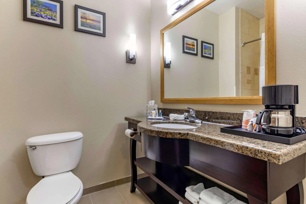 Comfort Inn & Suites Near Lake Lewisville