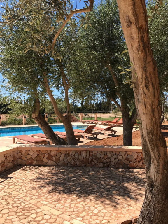 Finca Agroturismo Son Menut