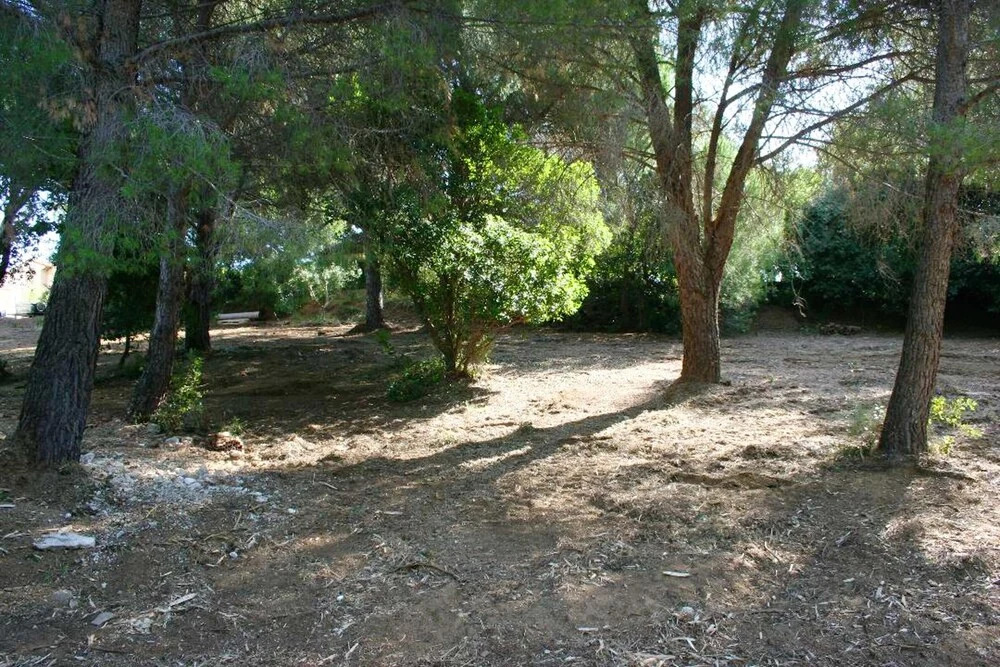 Holiday home Boulevard des Cactus