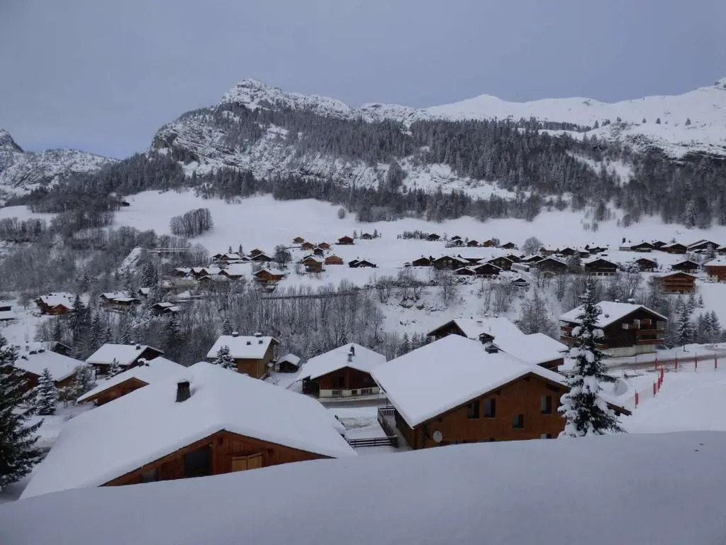 Studio Le Grand-Bornand, 1 pièce, 2 personnes - FR-1-458-153