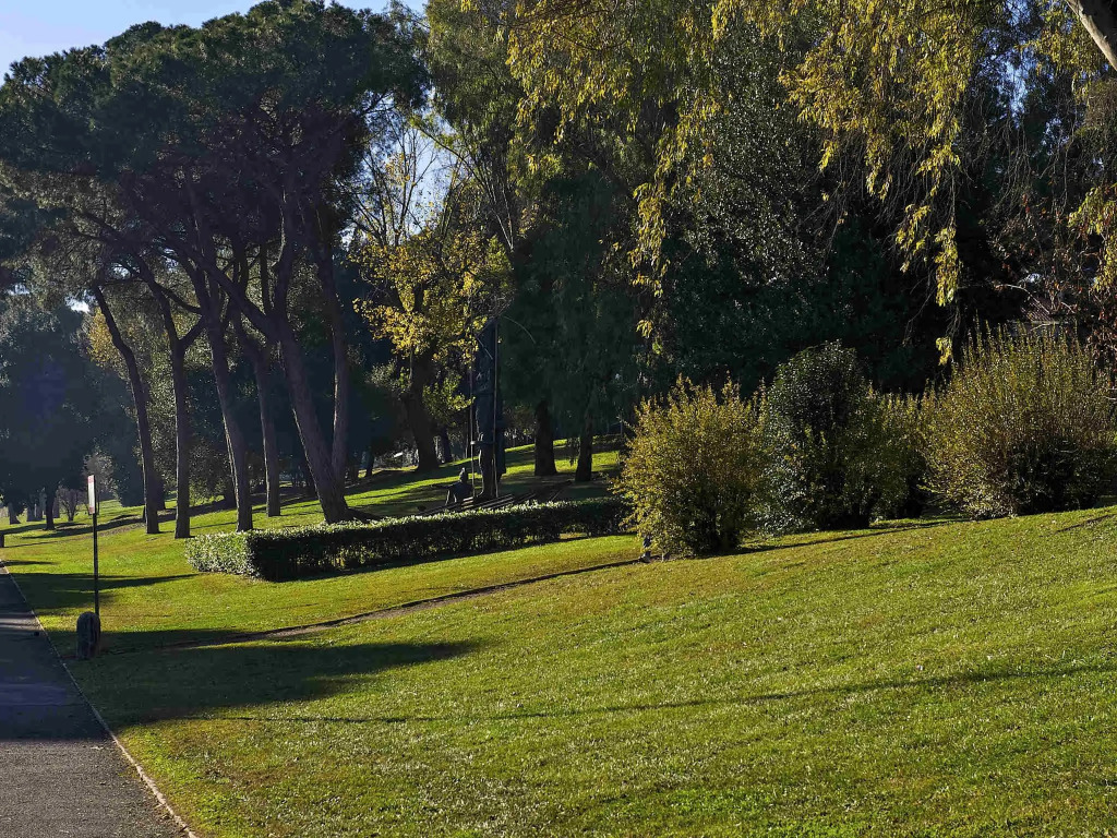 Ibis Styles Roma Eur