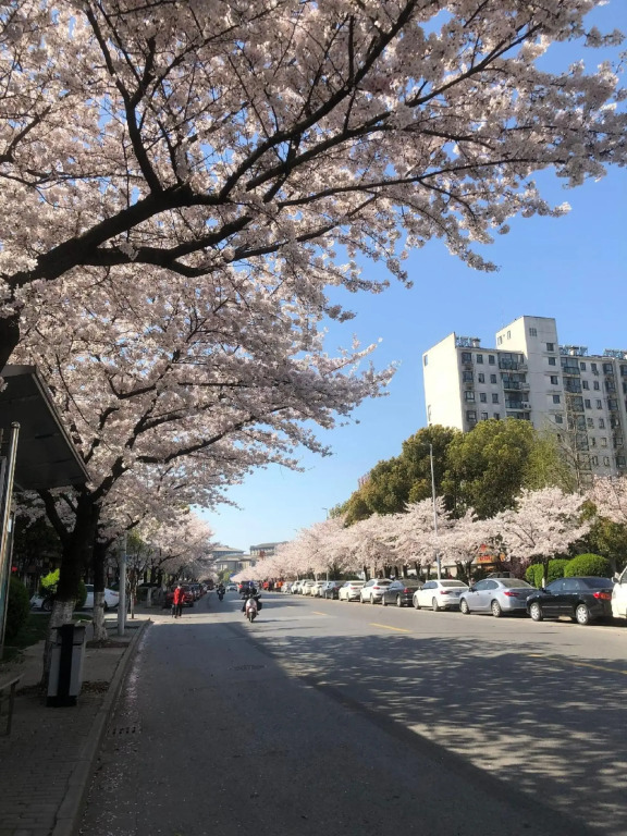 Sifangyuan Hostel