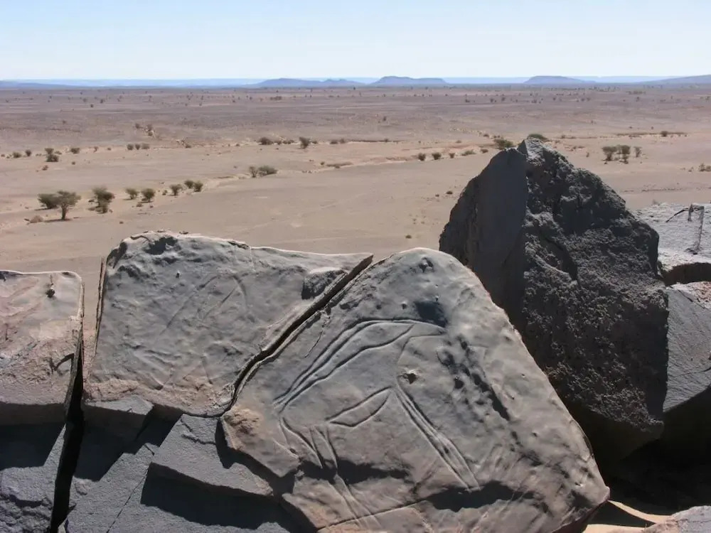 Le relais des sables