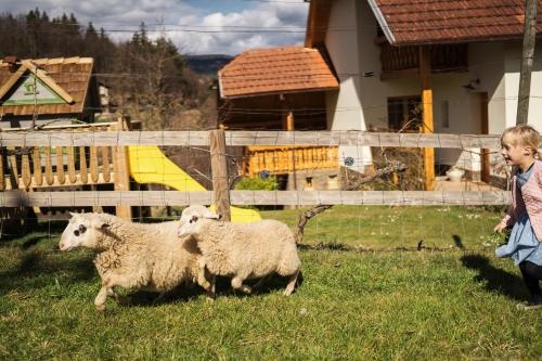 Tourist Farm Urška