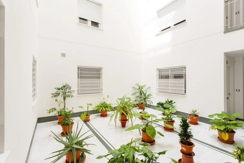 Apartamento la Sorpresa del Genovés