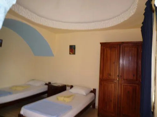 Dolphin Camp