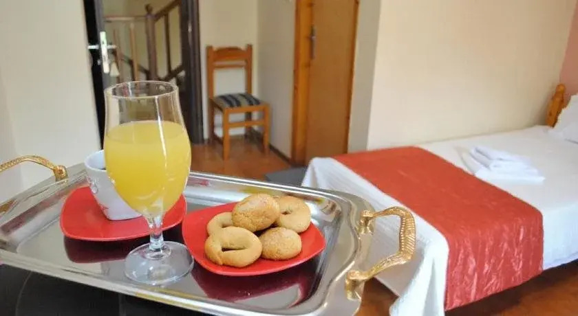Hotel Aoos