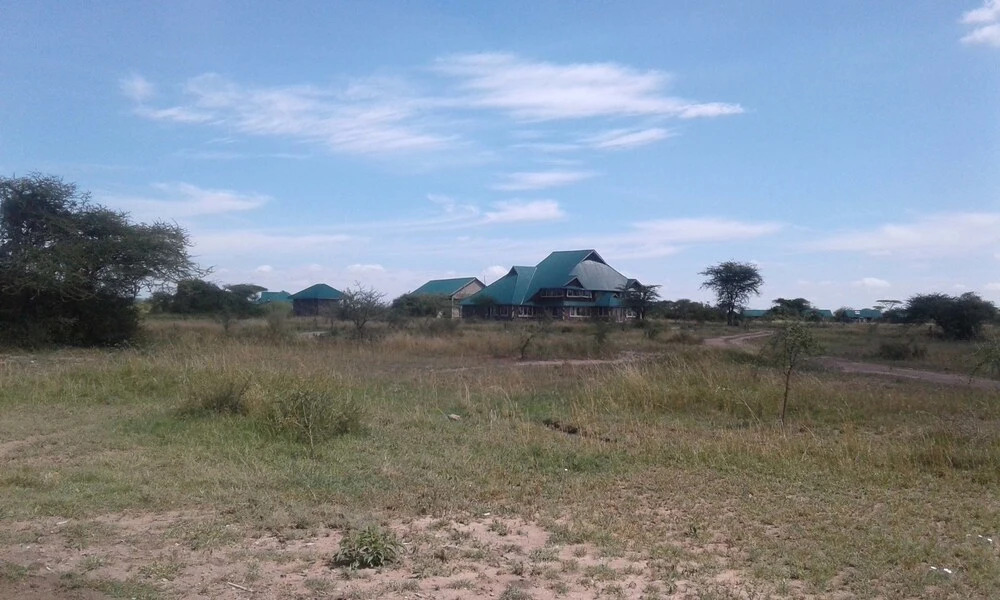 Zebra Kemang'ore Bush Tented Lodge
