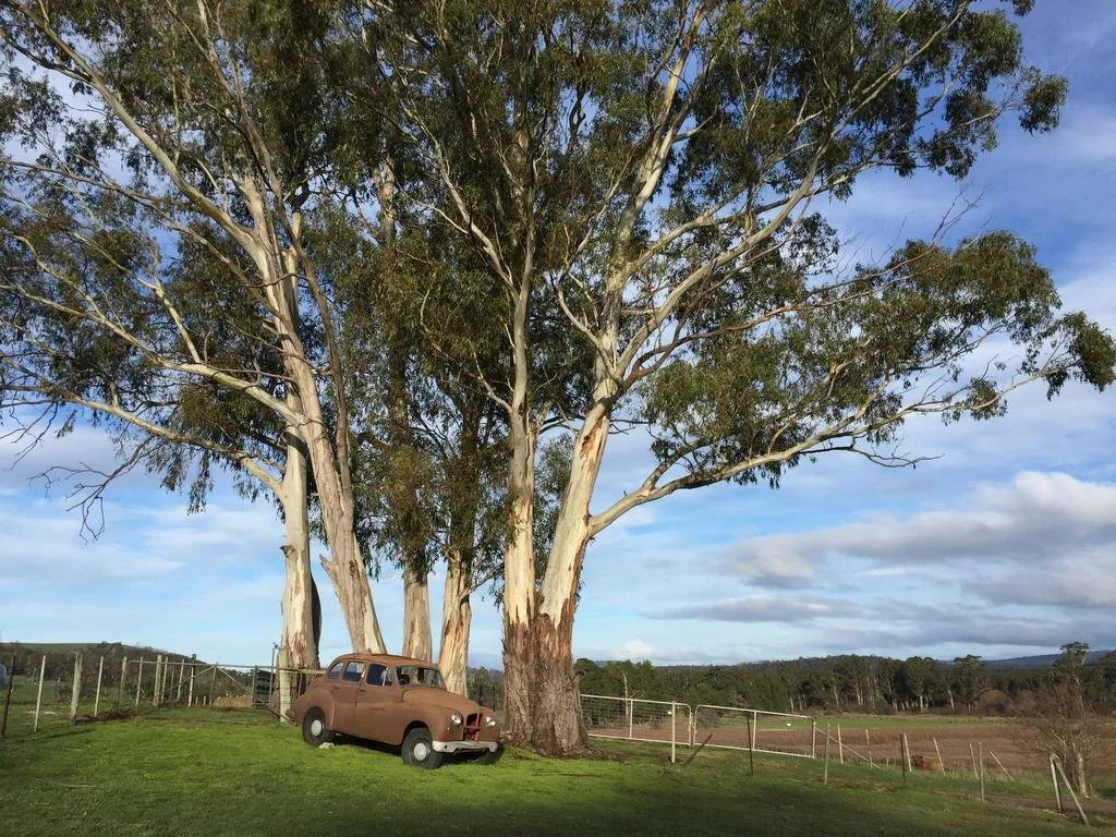Duffy's Country Accommodation