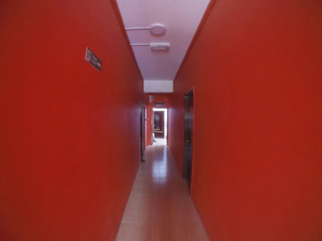 Fat Rhino Hostel