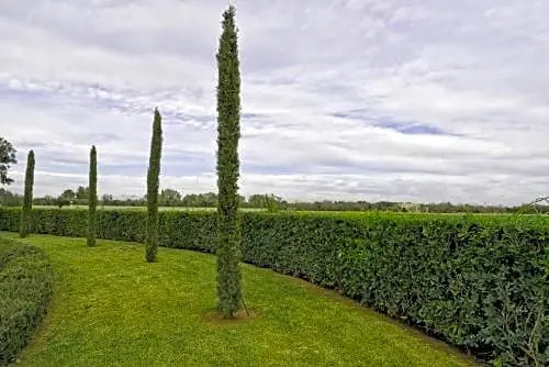 B&B Tenuta Scaloti