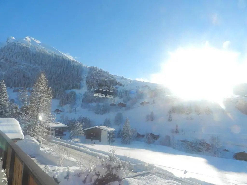 Chalet-Hôtel du Borderan