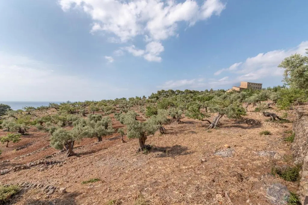 Deià semi-detached sunny country house, near GR221