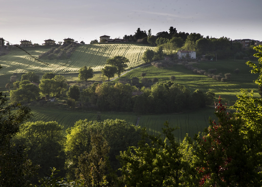Villa Glicini - Delightful Cottage With Pool
