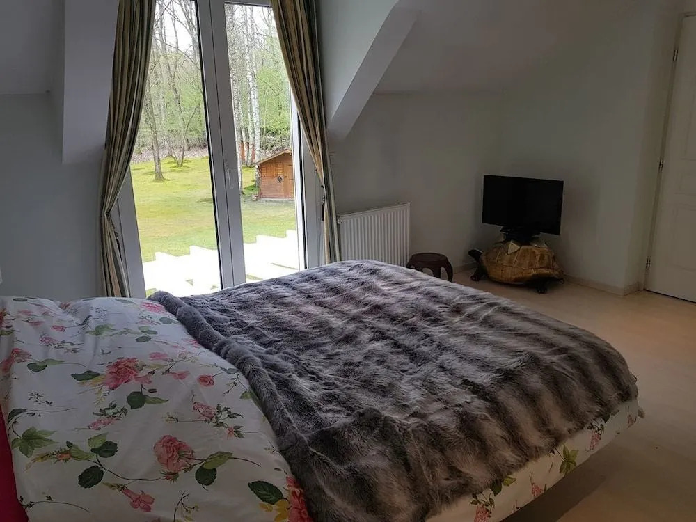 B&B Victoria