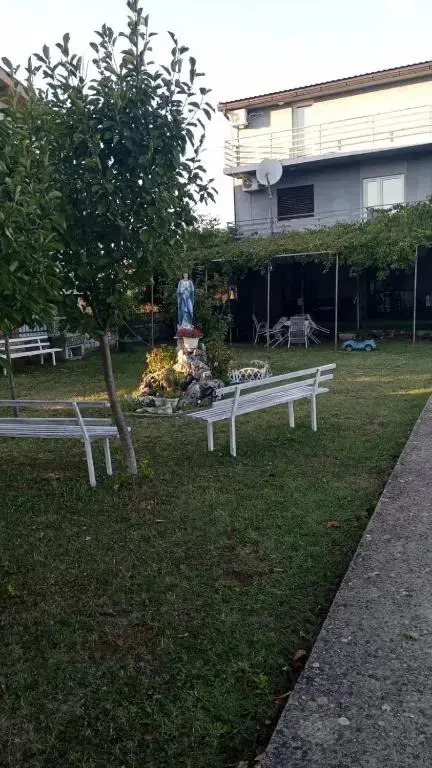 Pansion Mićo