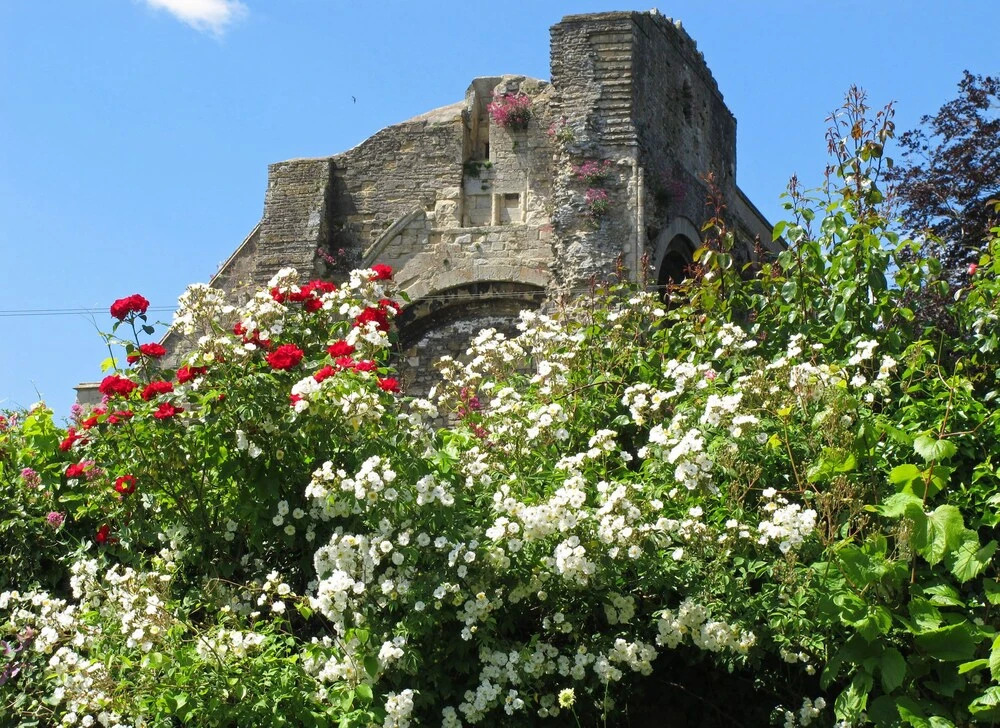 Abbey House Gardens