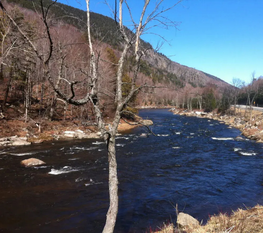 Whiteface Farm Adirondack Bed and Breakfast