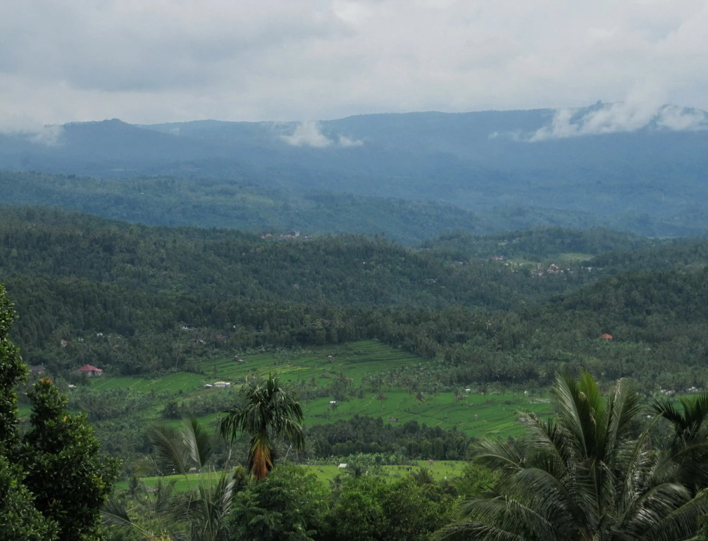 KARANG SARI Guesthouse & Warung