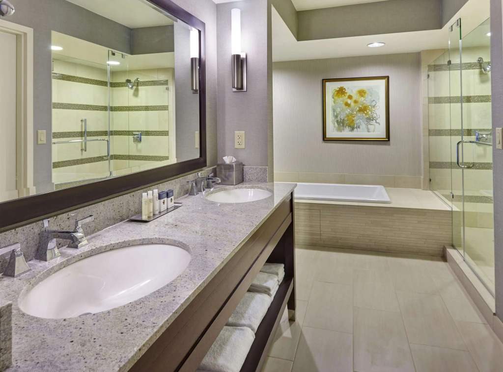 DoubleTree by Hilton Washington DC   Crystal City