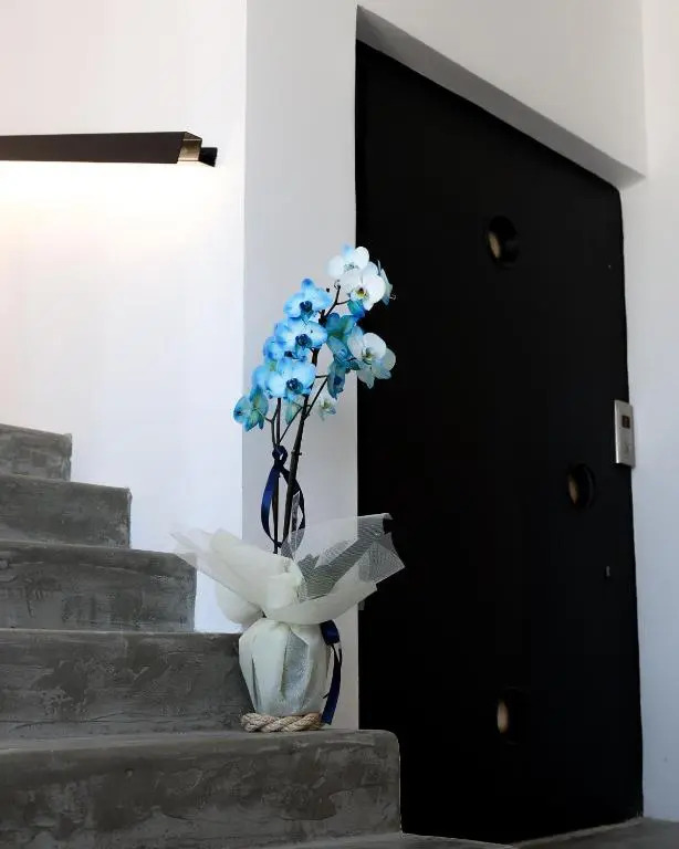 Executive suites @ apartments