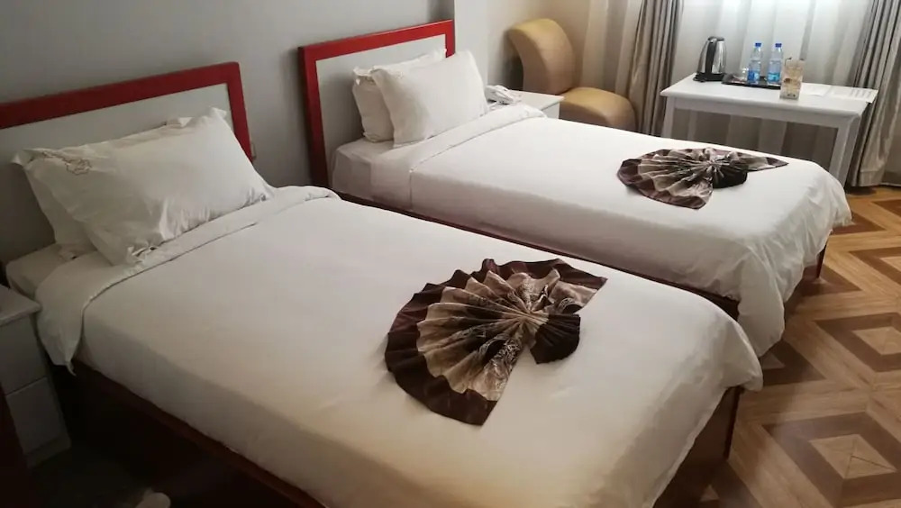 New Vision Addis Hotel