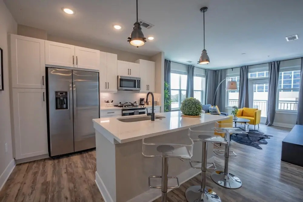 Luxurious 2 BR 2BR Downtown Apartment