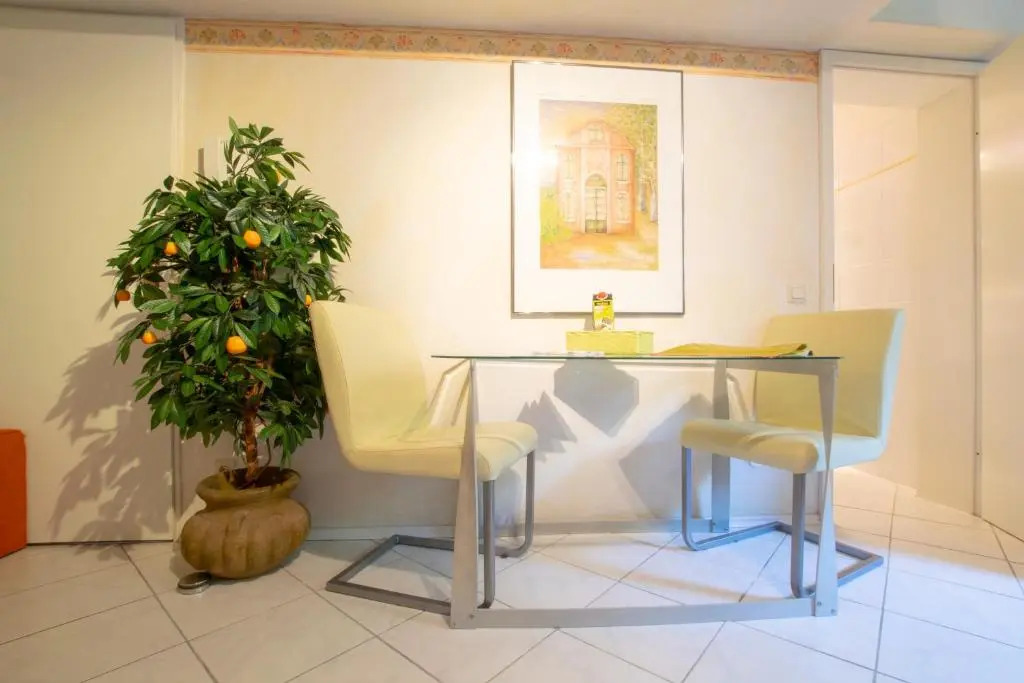 Tolstov Aparments - 1 und 2 Zimmer Wohnungen - 20 Min Messe DUS