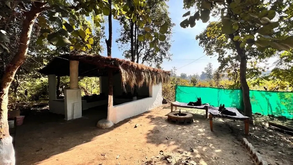 Taal Tiger Resort