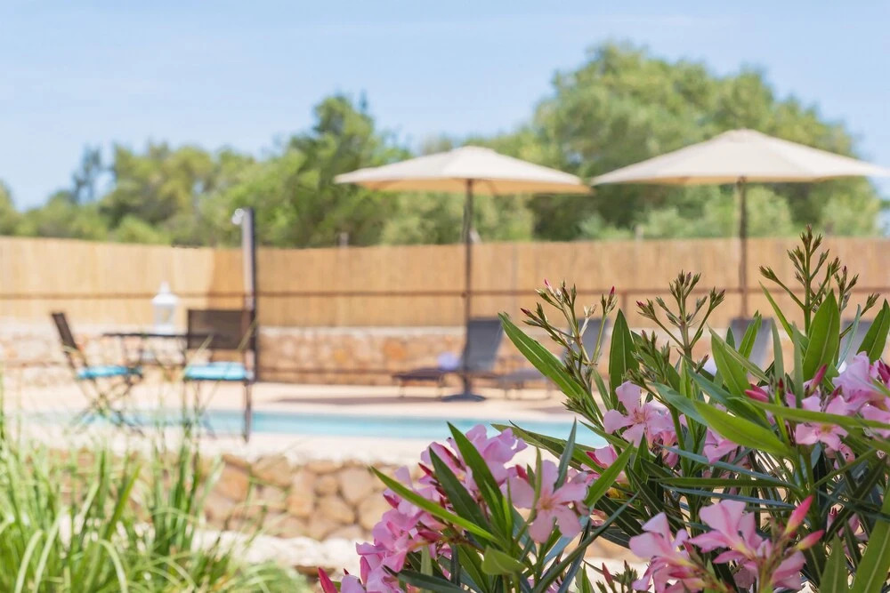 Sa Riba Nova - Adults Only